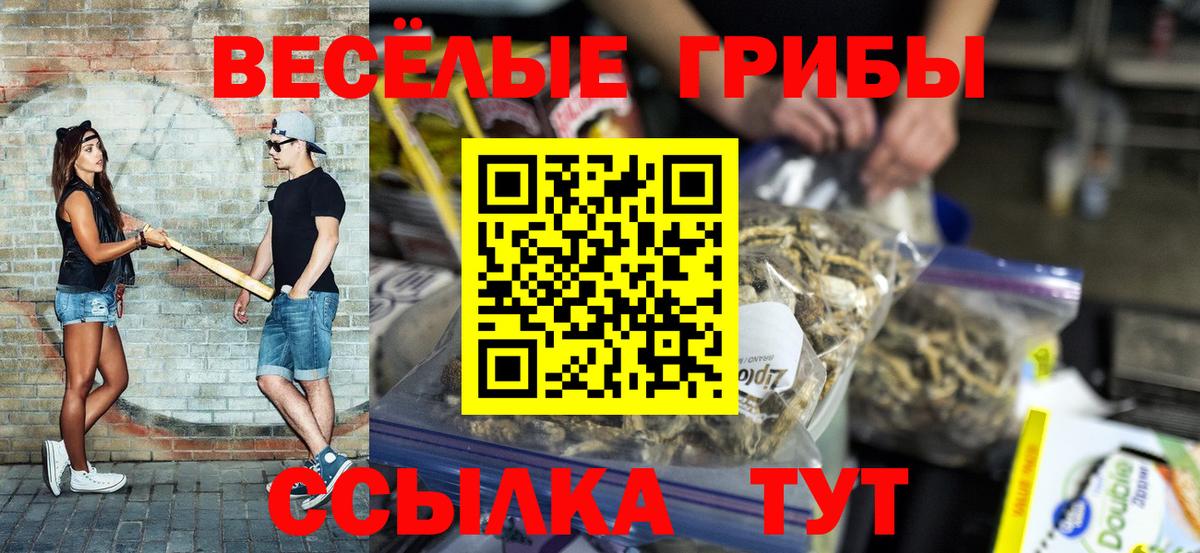Псилоцибиновые грибы Psilocybe  Псилоцибиновые грибы мухоморы  Тара  Вход с VPN 