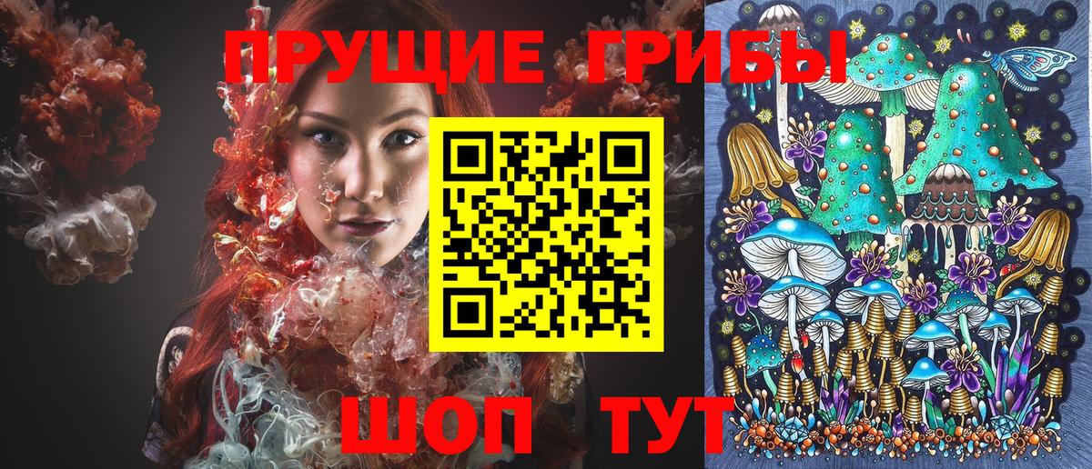 Псилоцибиновые грибы Cubensis Тара